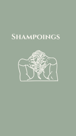 Shampoings