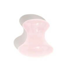 Gua sha champignon